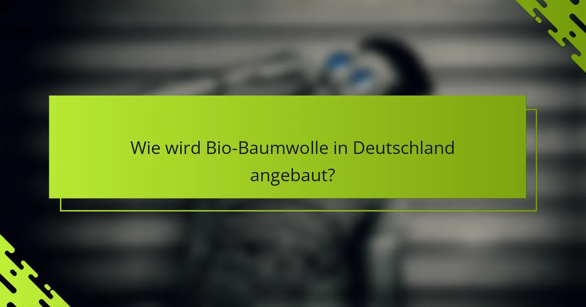Wie wird Bio-Baumwolle in Deutschland angebaut?